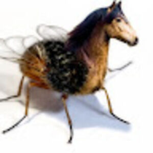 Meet your Posher, Arielyn